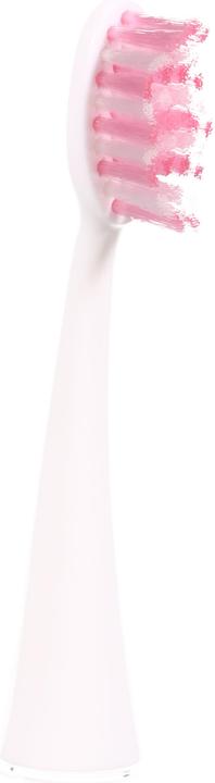 Immagine prodotto Ailoria Splendore luminoso (6 x)