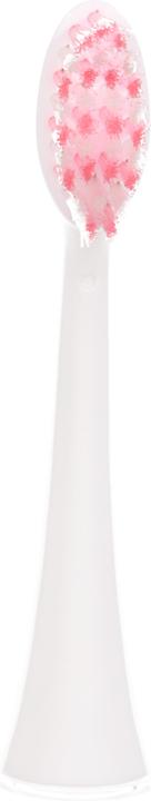 Immagine prodotto Ailoria Splendore luminoso (6 x)