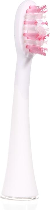 Immagine prodotto Ailoria Splendore luminoso (6 x)