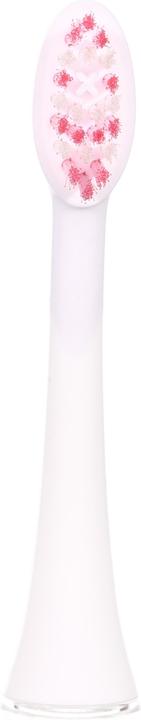 Immagine prodotto Ailoria Splendore luminoso (6 x)