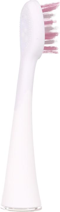 Immagine prodotto Ailoria Splendore luminoso (6 x)