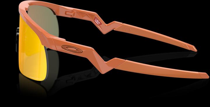 Produktbild Oakley Resistor (Matte Ginger, prizm ruby)