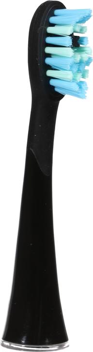Actual product image Ailoria Shine Bright (12 x)