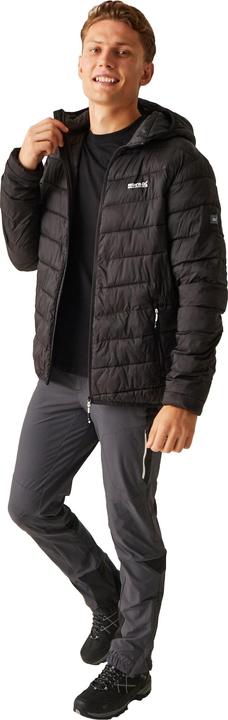 Produktbild Regatta Hillpack II Steppjacke (XL)