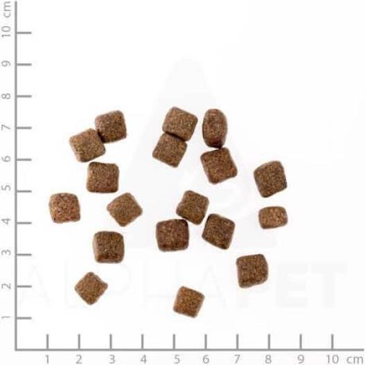 Actual product image Wolfsblut Black Bird (Senior, 1 pcs., 2000 g)