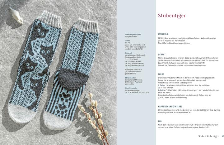 Produktbild Bunte Socken und witzige Handschuhe stricken (Deutsch, Andrea Hoedt-Konken, 2024)