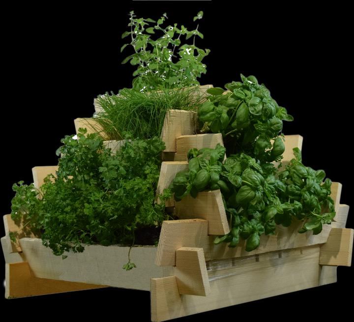 Immagine prodotto DIY-Wood Piramide di erbe non trattata