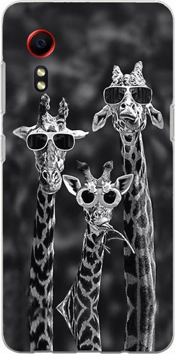 3 giraffes