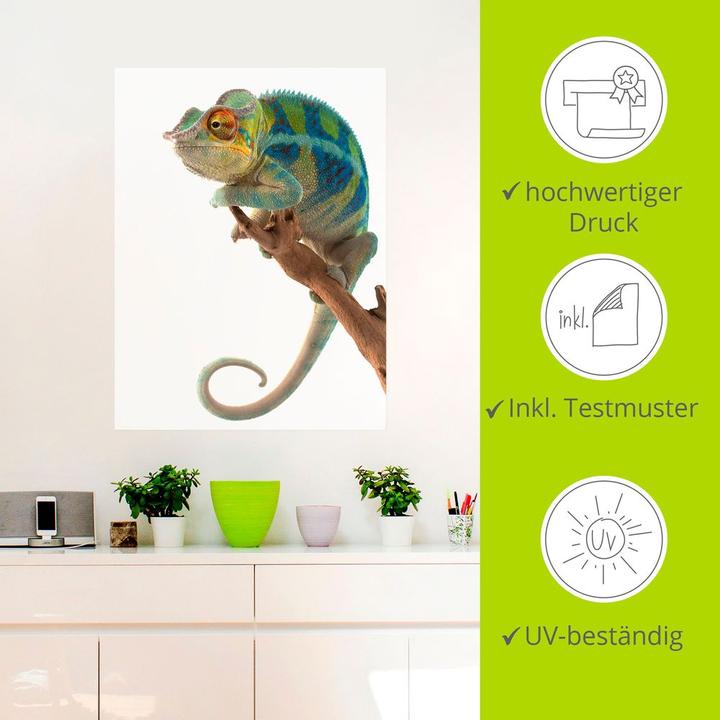 Immagine prodotto Artland Ambanja Panther Camaleonte T5RW (45 x 60 cm)