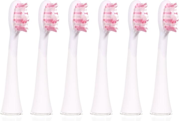 Ailoria Shine Bright (6 x)