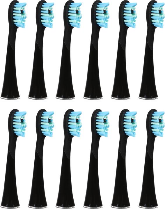 Actual product image Ailoria Shine Bright (12 x)