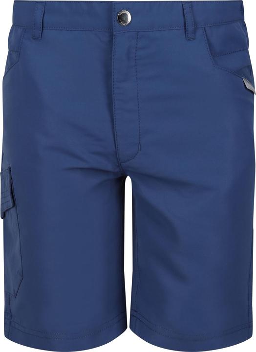 Blue Wing bleu
