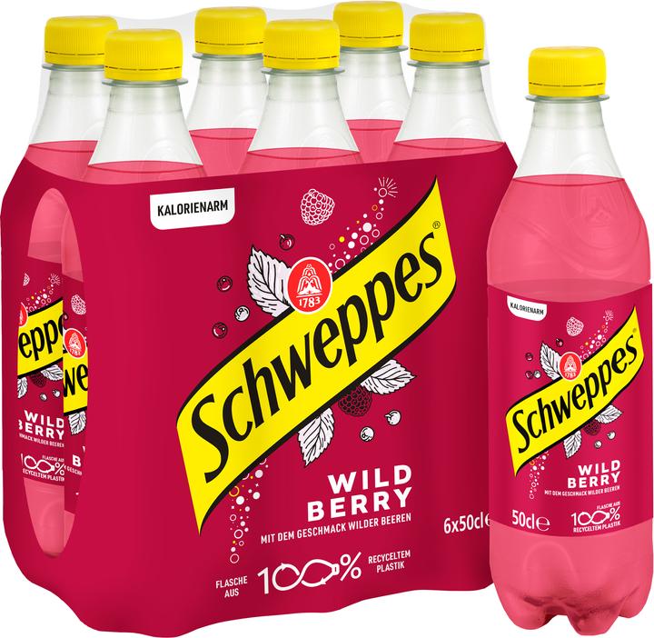 Image du produit Schweppes Baies sauvages (6 x 50 cl)
