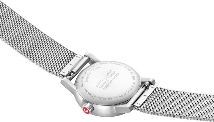 Actual product image Mondaine Evo2 - Date (Analogue wristwatch, Swiss made, 30 mm)