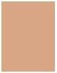 Immagine prodotto Rimmel London Perfezione dell'abbinamento SPF20 (303 Miele caldo)