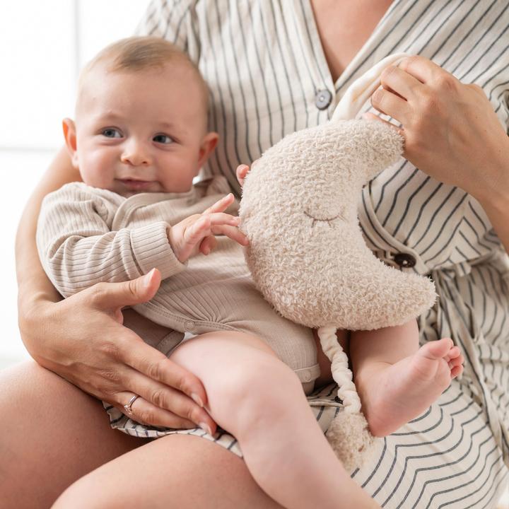 Image du produit Nattou Teddy Lune