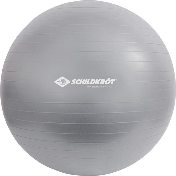 Schildkröt Gym ball 65 cm (65 cm)