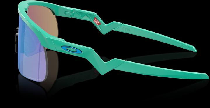 Immagine prodotto Oakley Resistente (Stuoia Celeste, Zaffiro Prizmato)