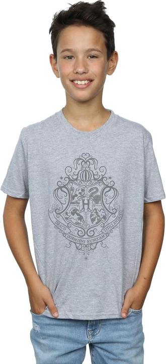 Actual product image Boys Hogwarts Draco Dormiens Crest T-Shirt (116)