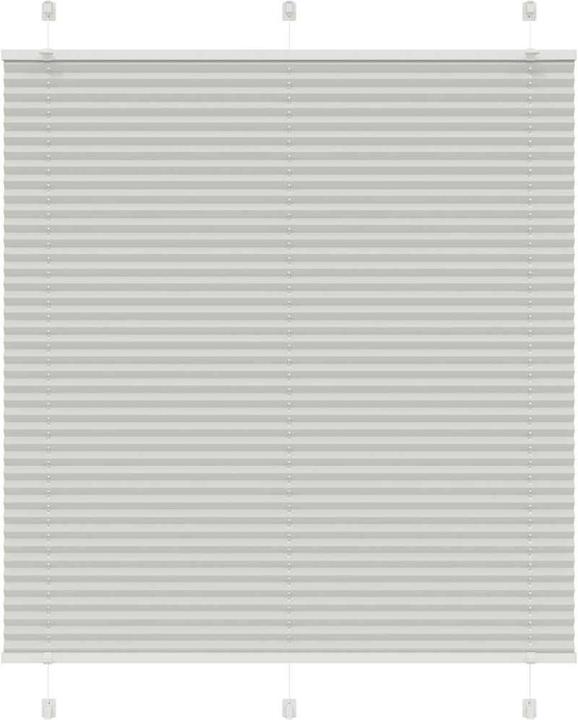 Gris clair