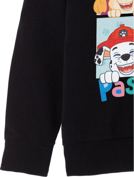Actual product image Paw Patrol Girls Smile And Pass It On Hoodie (116)