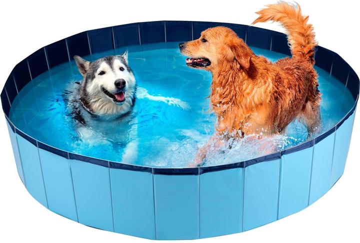 Champ Grosser Hundepool (Hundepool)