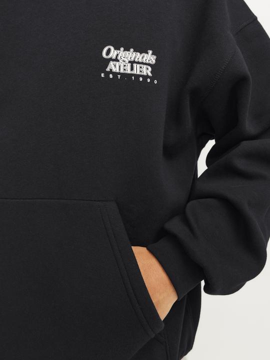Produktbild Jack & Jones Jorbrooklyn Back Sweat Hood (XXL)