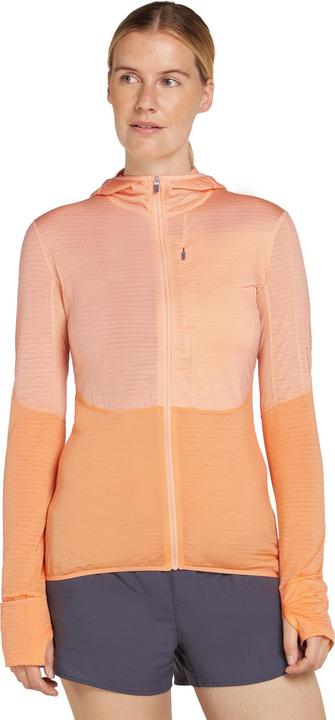 Image du produit Icebreaker Women Merino Mer 200 Realfleece Descender LS Zip H (L)
