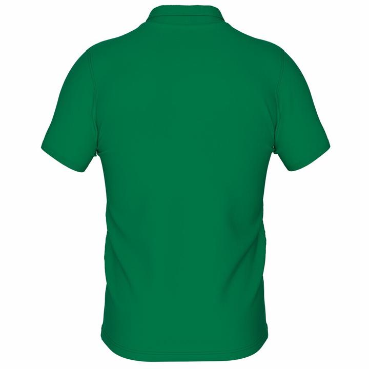 Image du produit Errea Polo Evo S/S Ad (L)