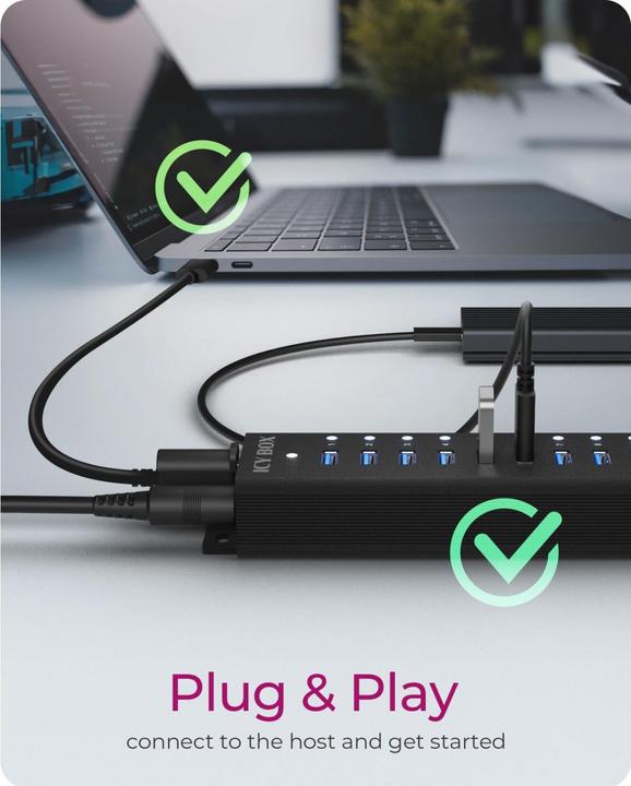 Immagine prodotto Icy Box IB-HUB1717-U3 (USB-C, 17 Porti)