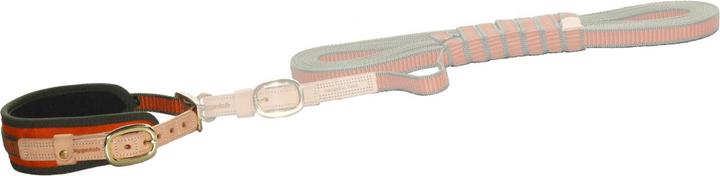 Image du produit Niggeloh Collier de soudure (XS, Chien, Général)