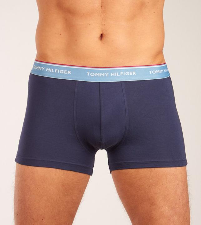 Image du produit Tommy Hilfiger Essentiels Premium (L, Lot de 3)