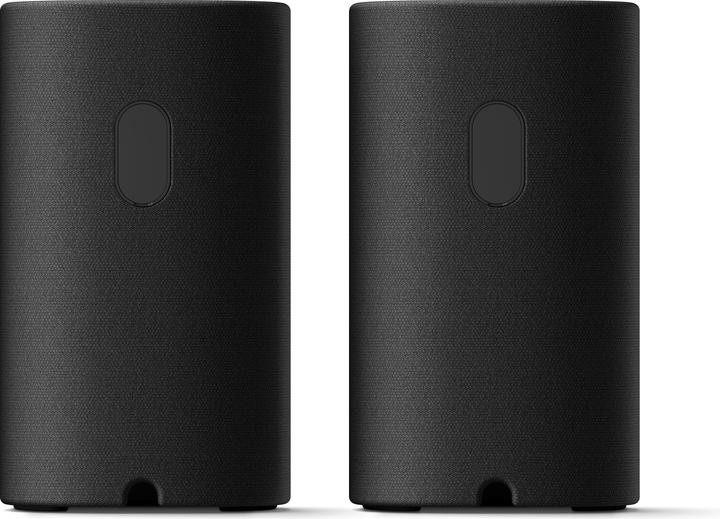 Immagine prodotto Sony SA-RS8 (1 coppia, 100 W)