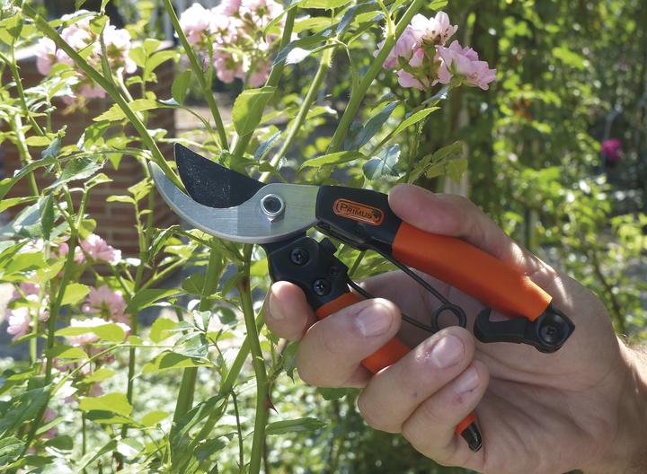 Immagine prodotto Garten Primus Forbici da giardino "Regina delle rose