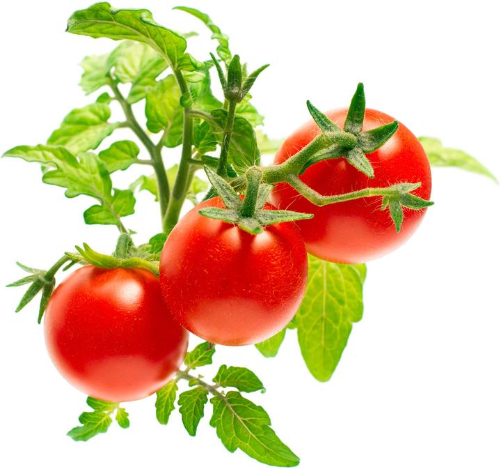 Immagine prodotto Click and Grow Mini Pomodori (Semi di verdura)