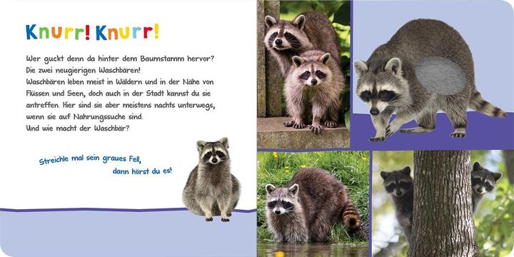 Produktbild Hör mal rein, wer kann das sein? - Kuschelige Tiere (Deutsch)