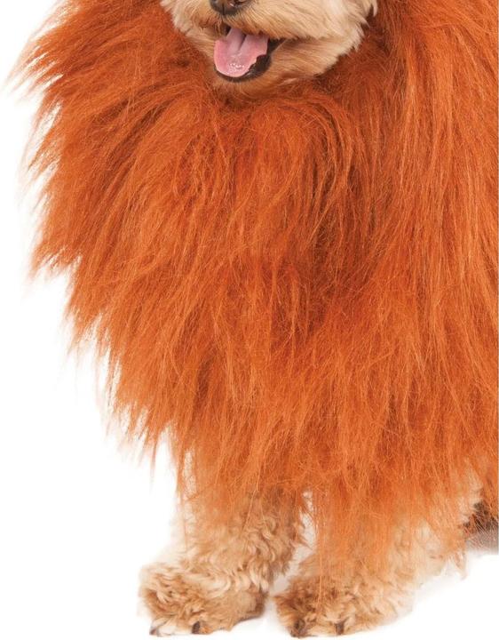 Image du produit Bristol Novelty Costume de chien de l'homme Lion (Déguisement pour chien)