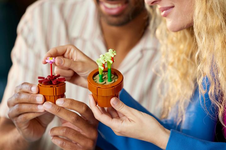 Produktbild LEGO Mini Pflanzen (10329, LEGO Botanical, LEGO Icons)
