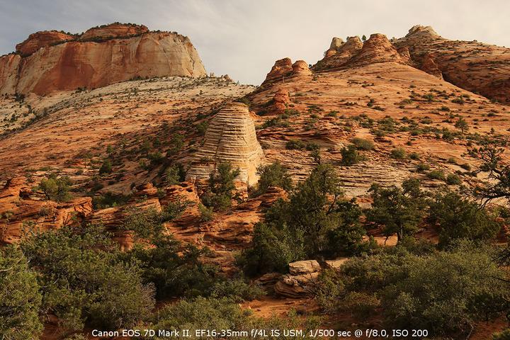 Image du produit Canon EOS 7D Mark II (20.20 Mpx, APS-C / DX)