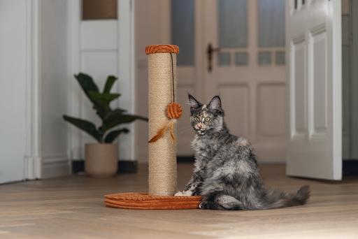 Actual product image Designed by Lotte Scratching post (50 cm, Terracotta)