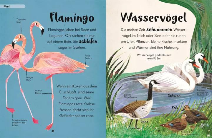 Produktbild Mein liebstes Buch der Tiere (Deutsch, Eva Sixt, 2022)