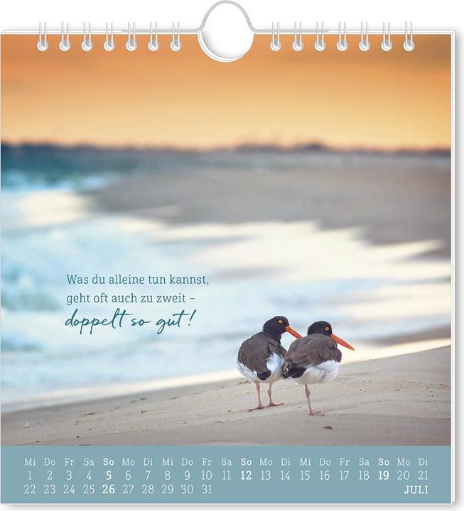 Image du produit Postkartenkalender 2026 Strandgut (16 x 17 cm, Allemand)