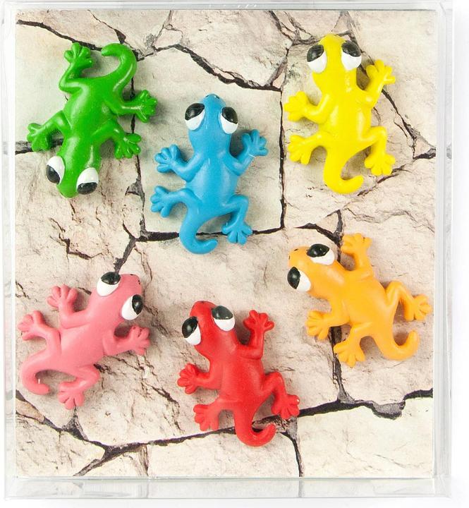 Actual product image Trendform Gecko (6 x)