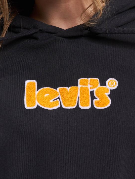 Actual product image Levis Prism Hoodie - 87163 (S)