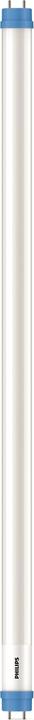 Actual product image Philips Fluorescent tube (G13, 8 W, 900 lm, 1 x, E)