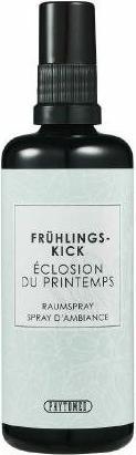 Phytomed Frühlings-Kick Raumspray 100 ml (Spray, 100 ml)