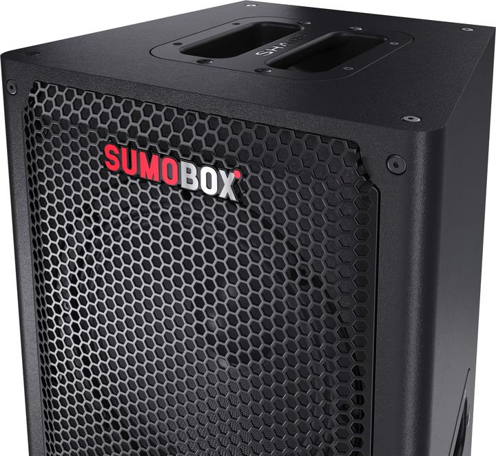 Actual product image Sharp CP-LS100 BT Party Speaker black (10 h, Rechargeable battery operated, Electrical connection)