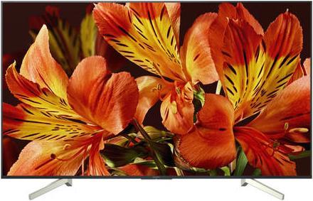 Sony Kd-85xf8596 (85", LCD, 4K, 2018)