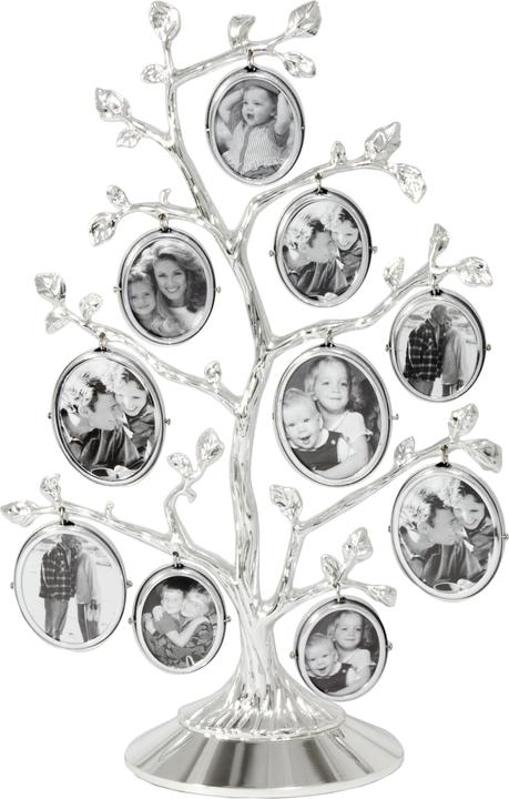 Immagine prodotto Zilverstad Albero genealogico (Vari)