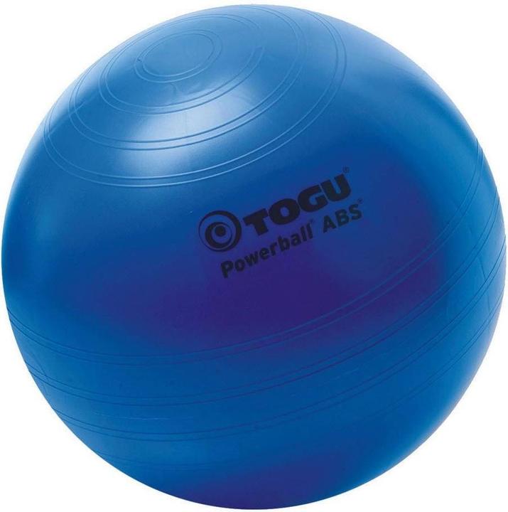 Actual product image Togu Sit ball (55 cm)